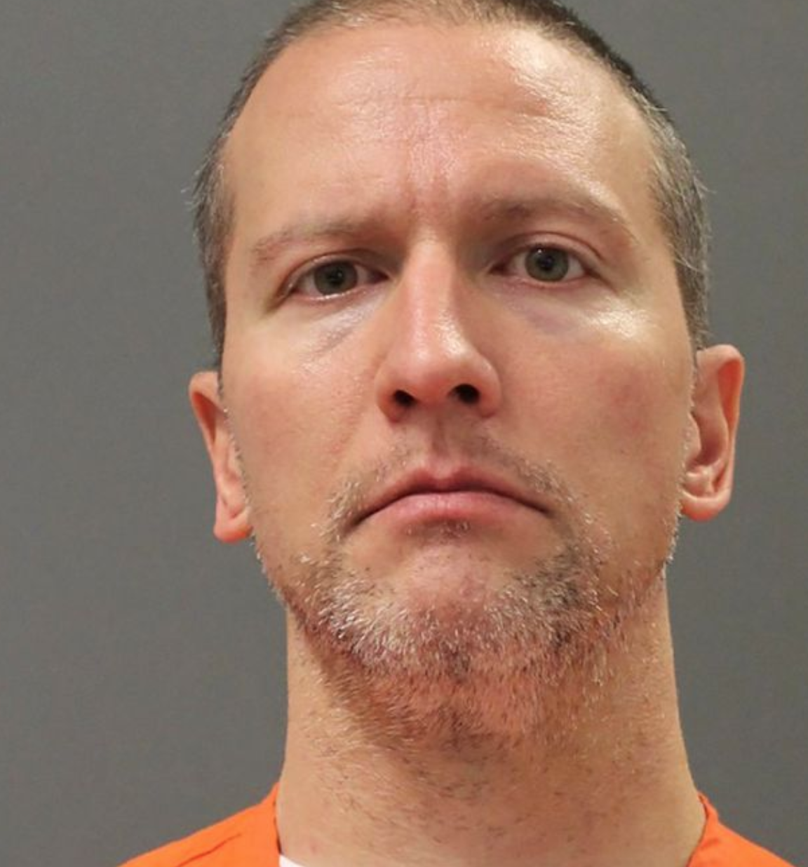 Derek Chauvin. Bildkälla: Hennepin County Sheriff's Office Derek Chauvin. Bildkälla: Hennepin County Sheriff's Office